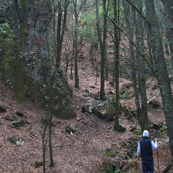 Parque Ecoturístico Xúmu
